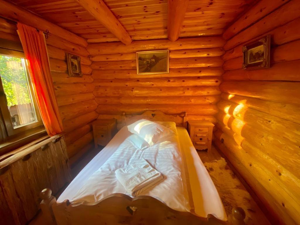 Cabana Vanatorului ริชนอฟ ภายนอก รูปภาพ