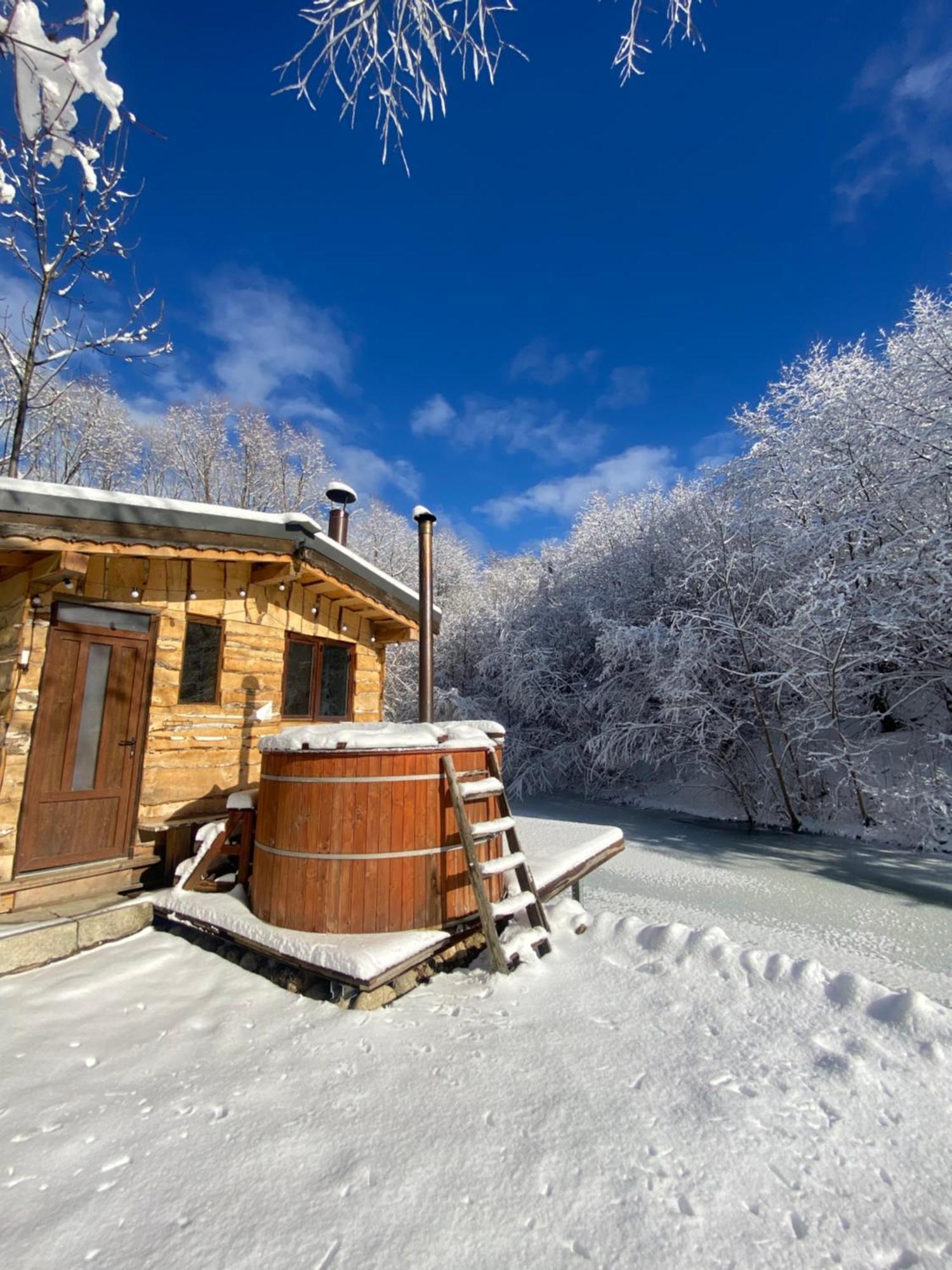 Cabana Vanatorului ริชนอฟ ภายนอก รูปภาพ